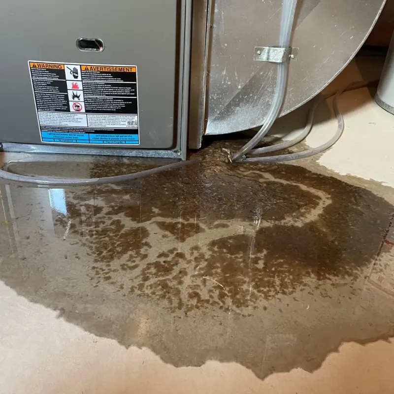 Appliance Leak Cleanup in Mount Holly Springs, PA